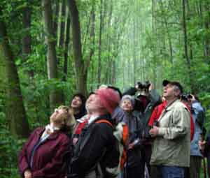 Zur Vogelstimmenwanderung im Fürstenbusch