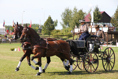 Deutsche Meisterschaften im  Gespannfahren 2012