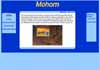 Mohorn im Web